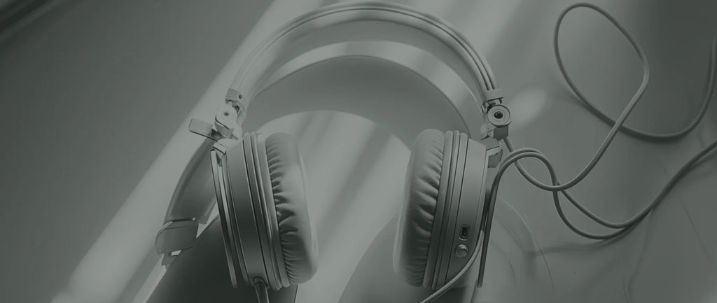 Earphones