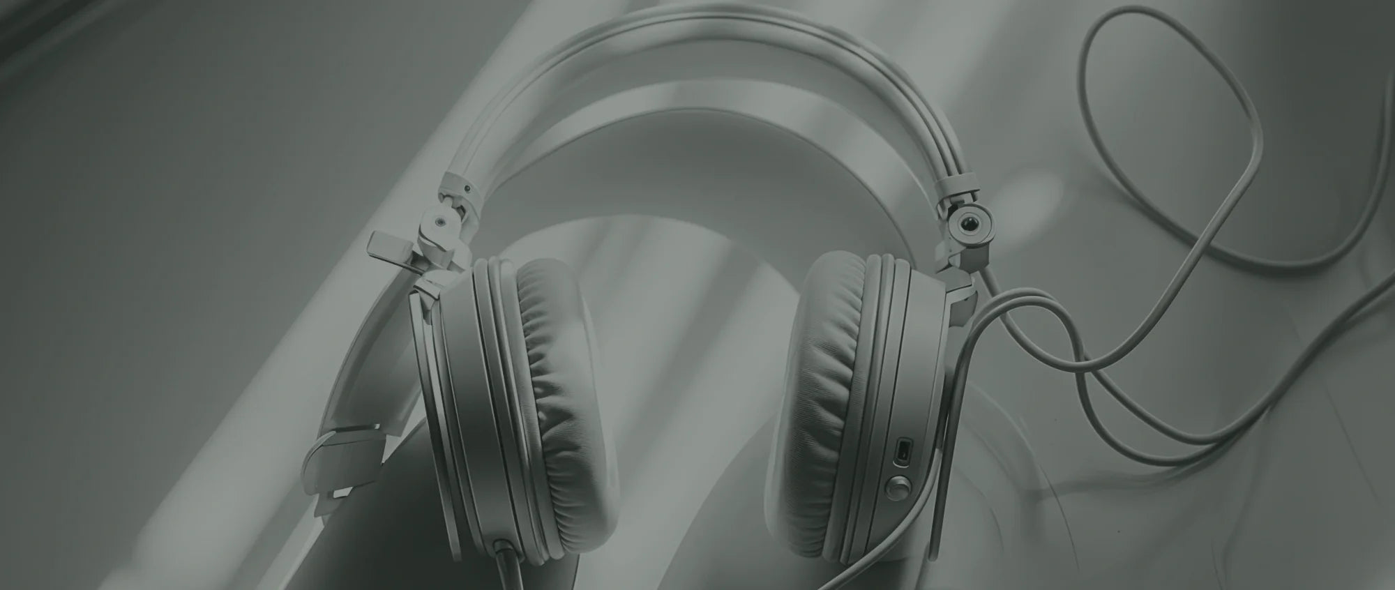 Earphones